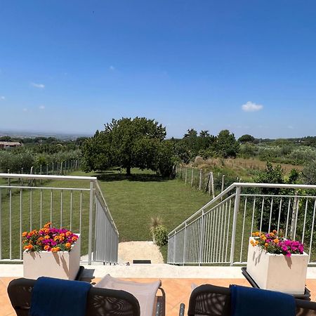 La Terrazza Sul Ciliegio Apartment Marino Luaran gambar