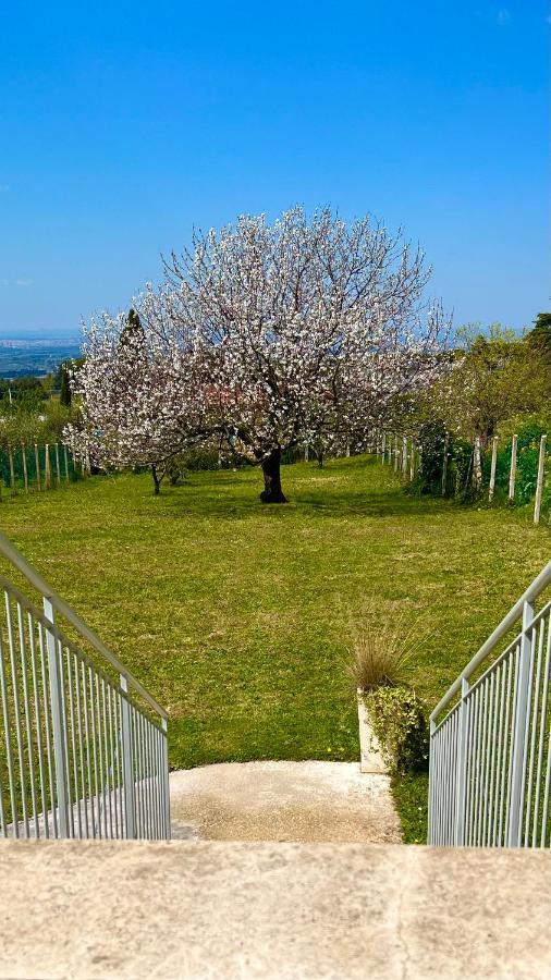 La Terrazza Sul Ciliegio Apartment Marino Luaran gambar