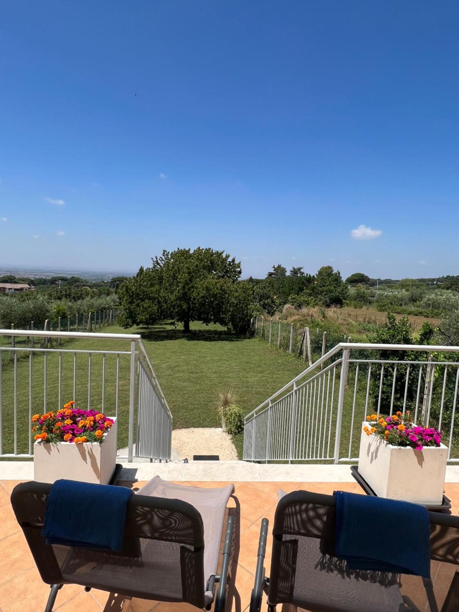 La Terrazza Sul Ciliegio Apartment Marino Luaran gambar